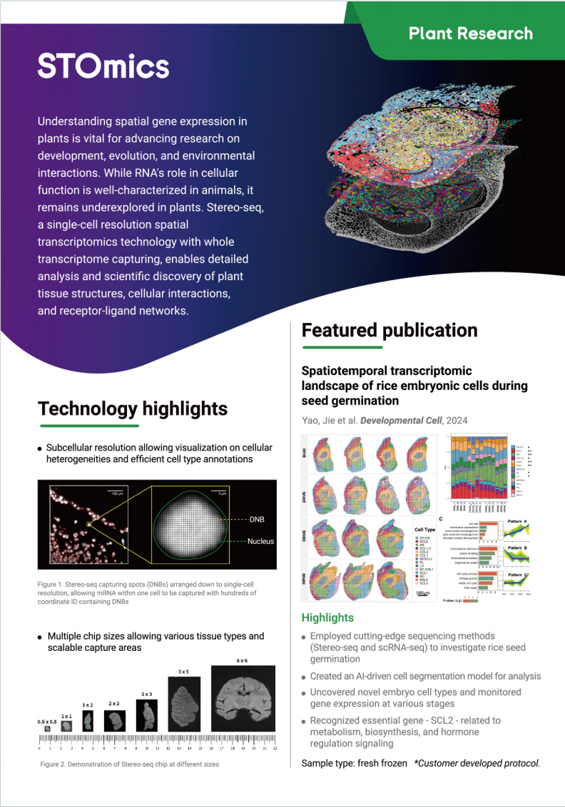 Stereo-seq Application Note for Plant Research